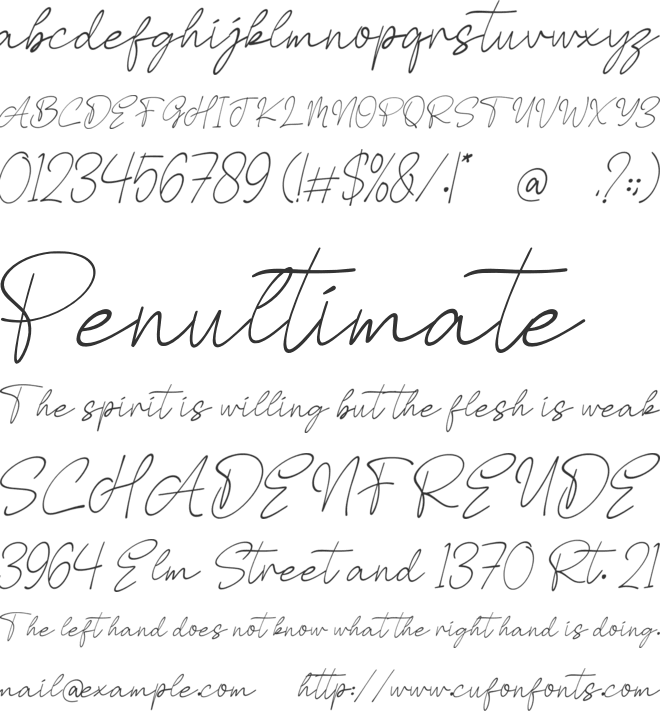 Shavira Handwritten font preview