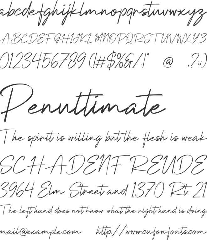 Selovira Signature font preview