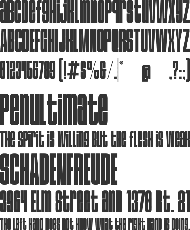 Monvera font preview