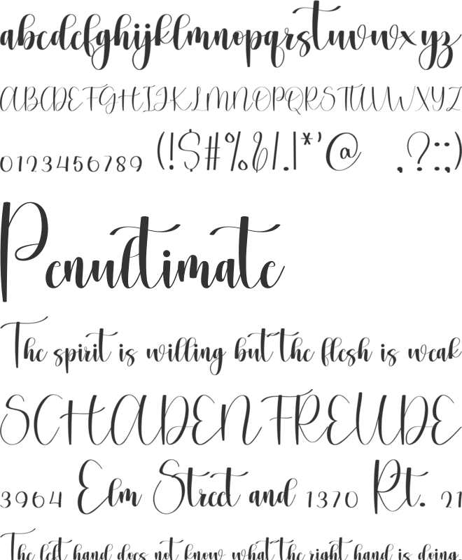 Right  Night font preview