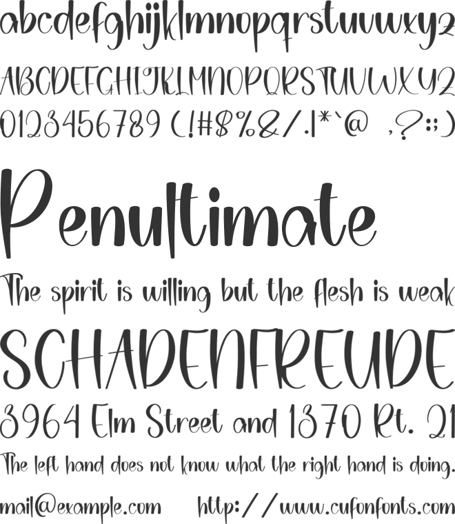 Planner Something font preview