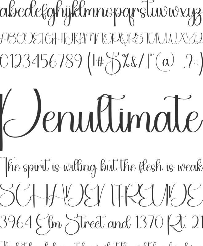 Angel font preview