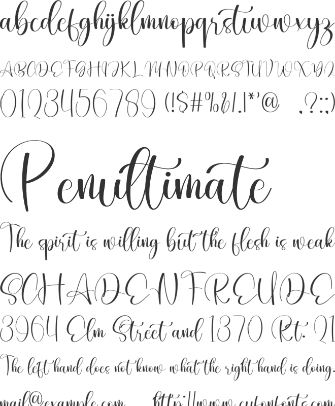 Santuy font preview