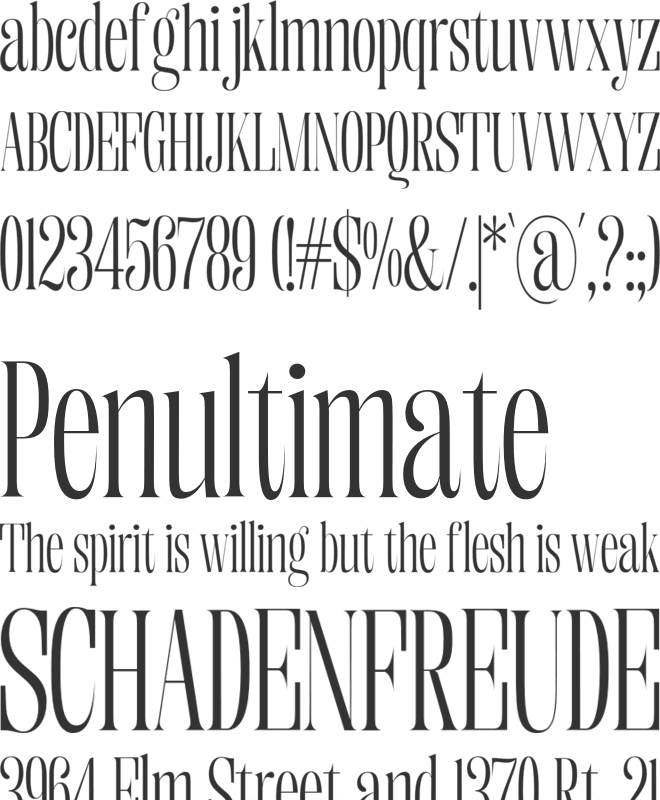 Enigera font preview