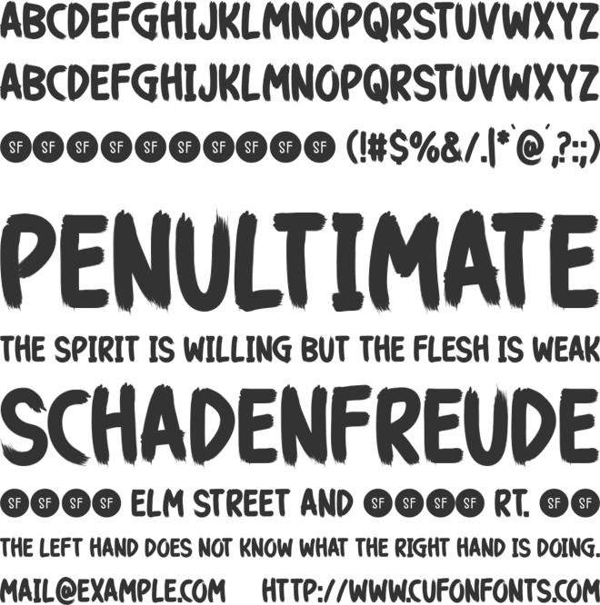 Take Risk font preview
