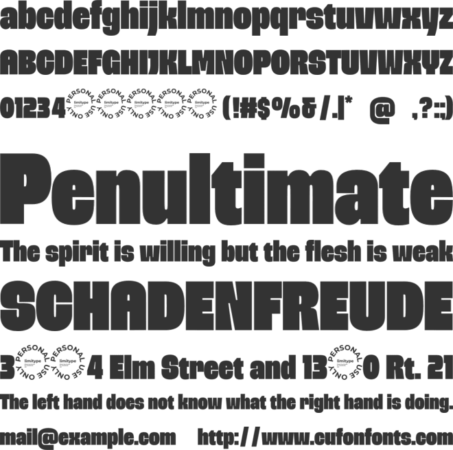 Chuner Bold Font font preview