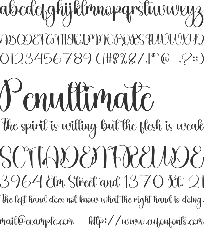 Holiday Wednesday font preview