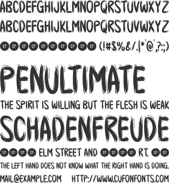 See Joy font preview