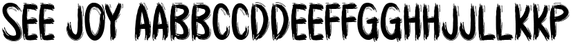 See Joy font download