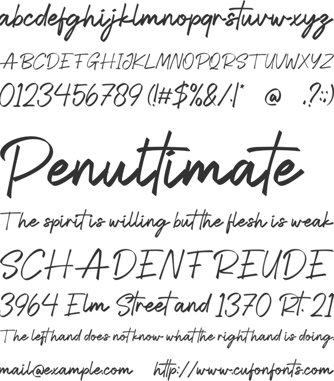 Anestha Script font preview
