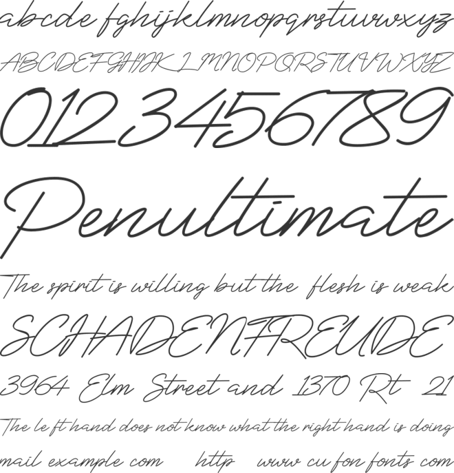 BlueSign font preview