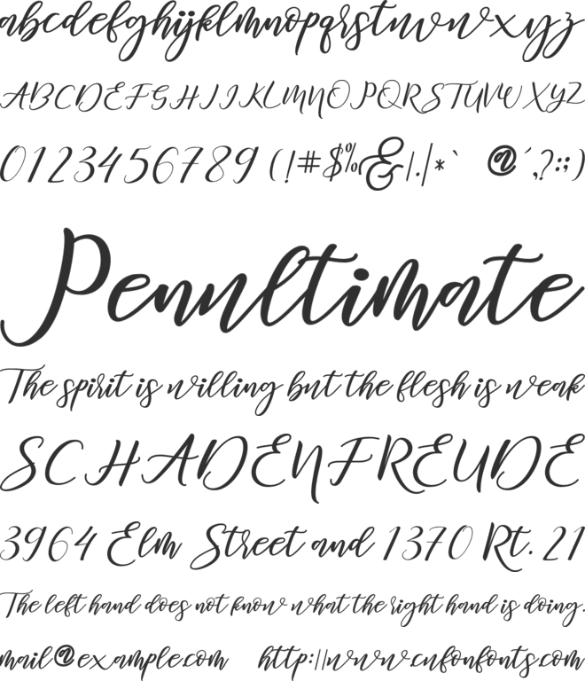 Diary Amily font preview