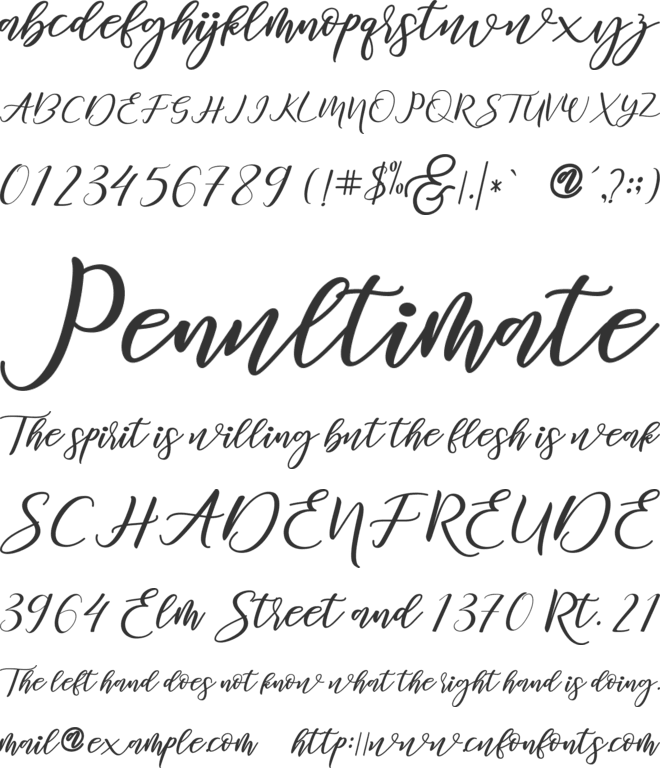 Diary Amily font preview