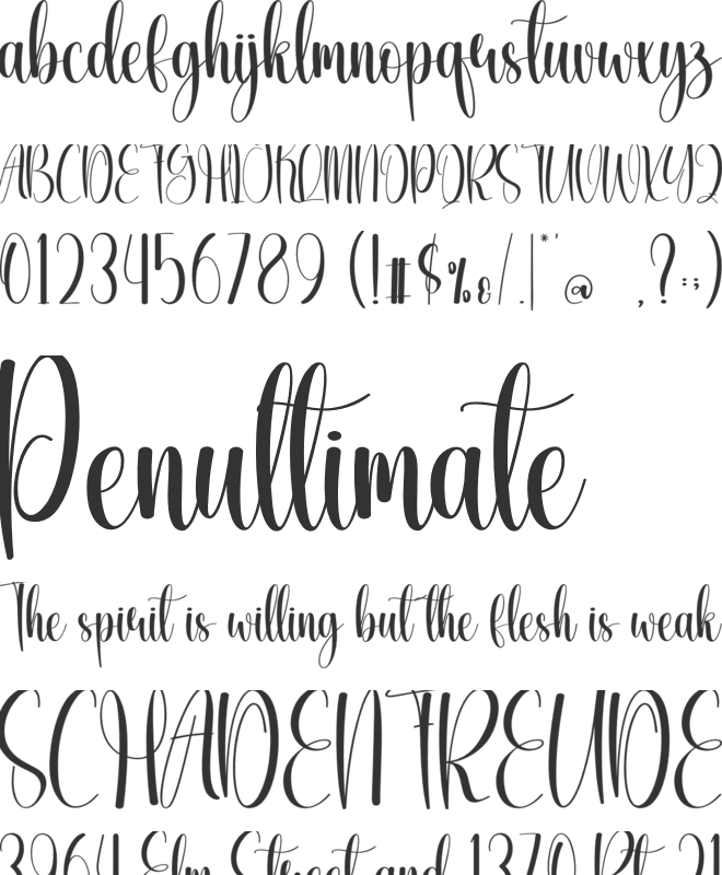 Elegant Calligraphy font preview