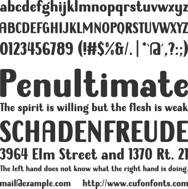 Success Criteria font preview