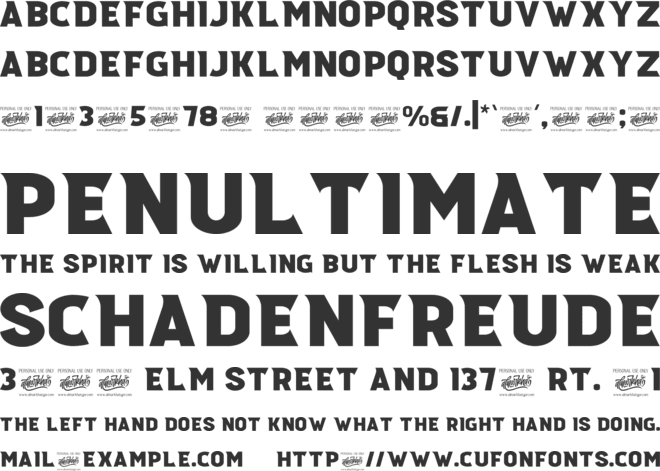 Pronave font preview