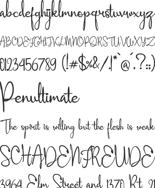 Aleyna font preview