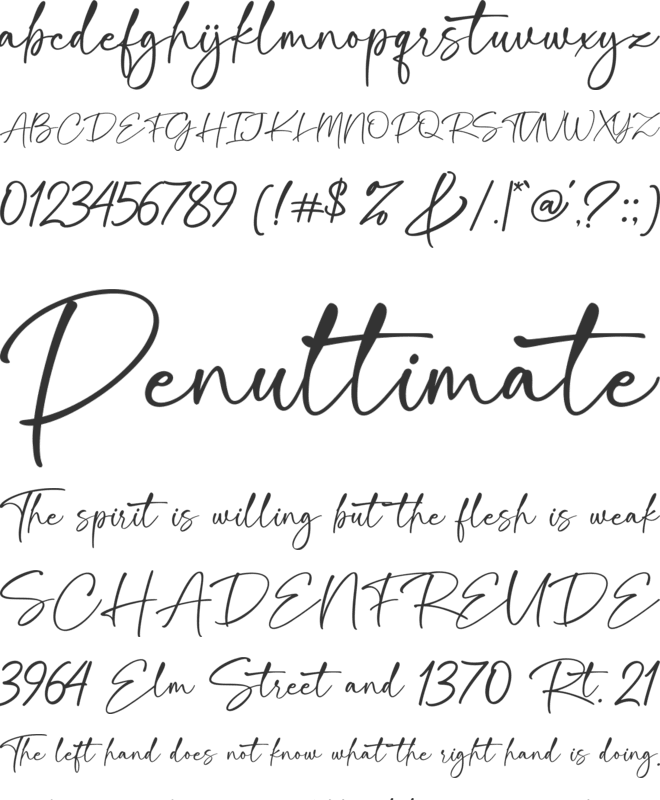 Rocstain font preview