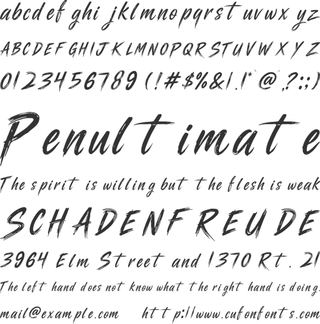 RAIZE font preview