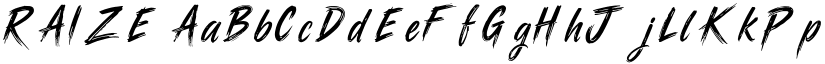 RAIZE font download