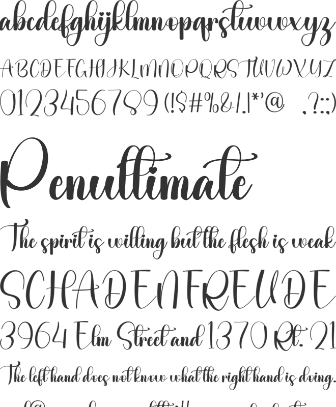 Wedding Writing font preview