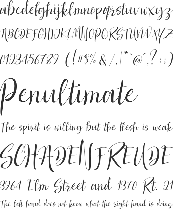 Dolcetto font preview