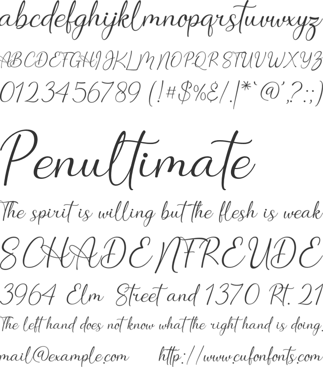 daylin font preview
