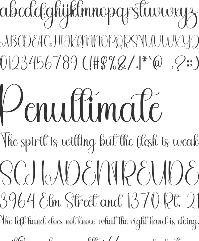 Monday Sometime font preview