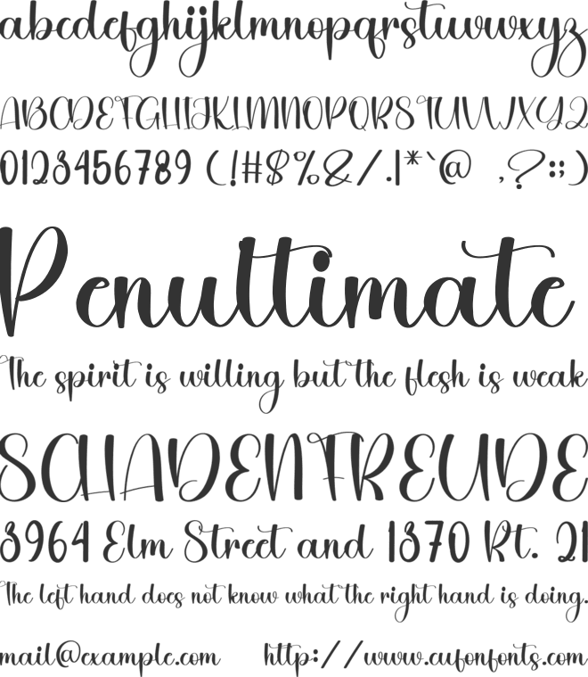 Dairy Wedding font preview