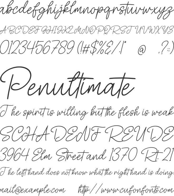 Celestora Script font preview