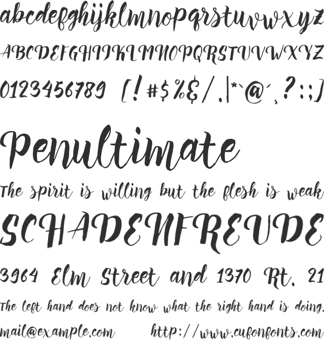 Perrota Typeface font preview