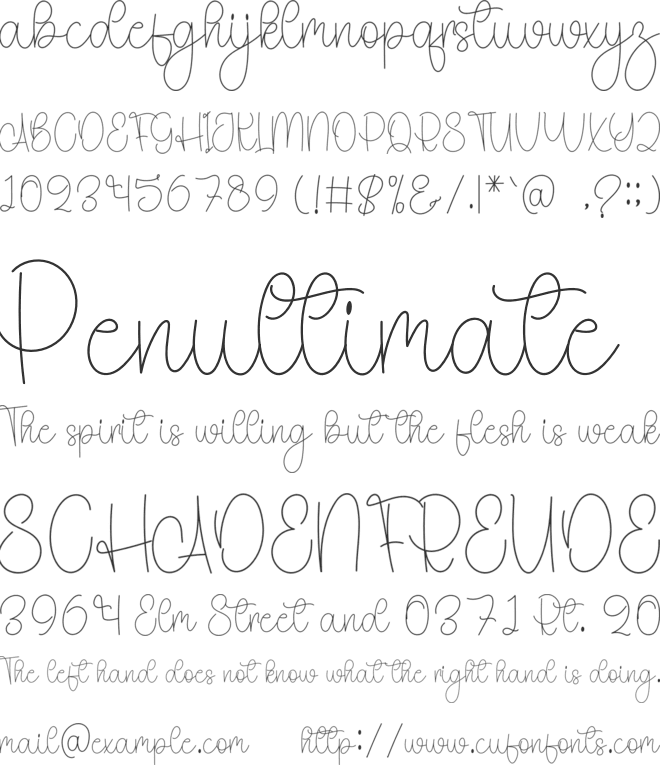 Angela Calligraphy font preview
