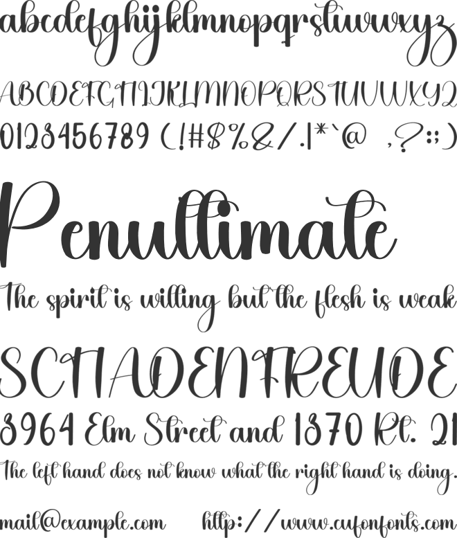 Springday font preview