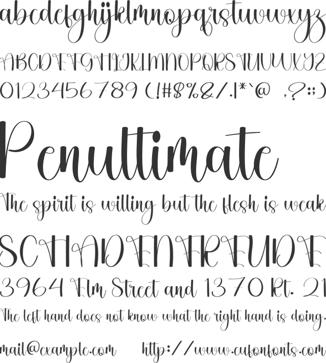 Shophia Romantic font preview
