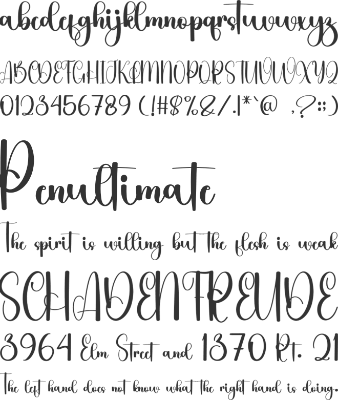 Daddy Overthinking font preview