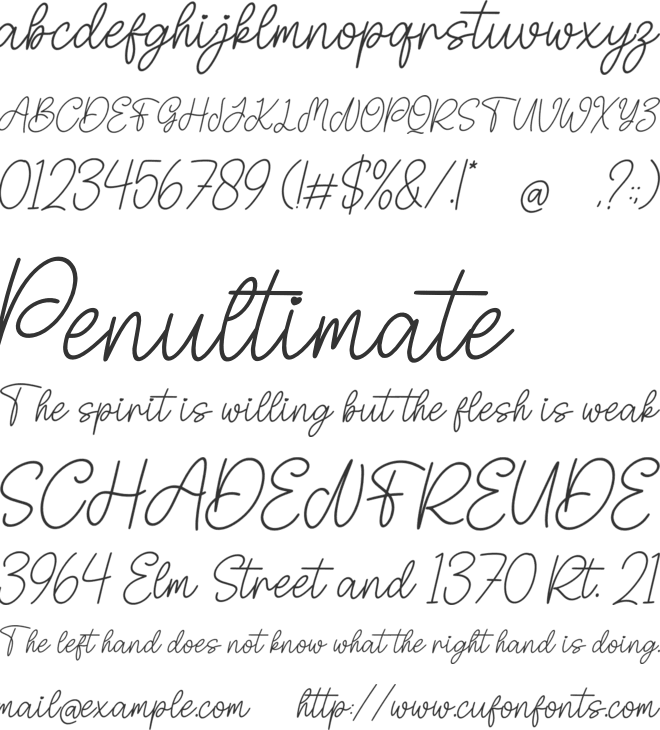 Veliora Signature font preview