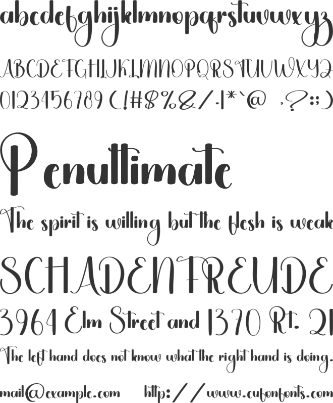 Daisy Magnolia font preview