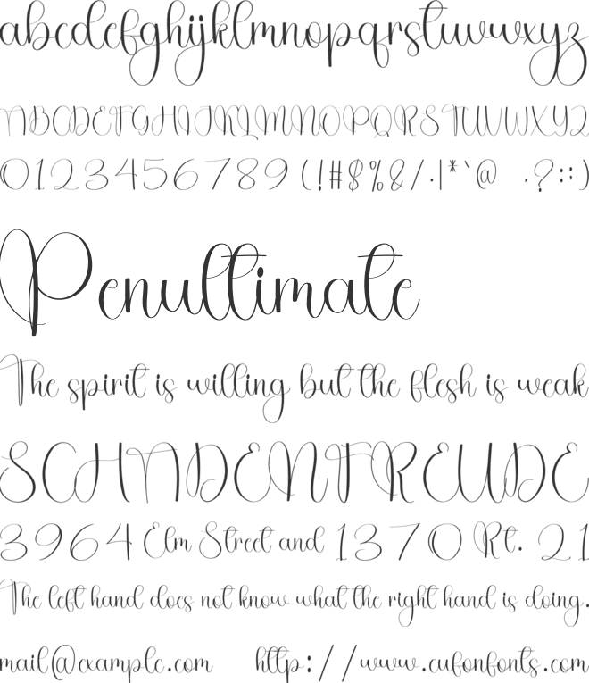 Christmas Background font preview