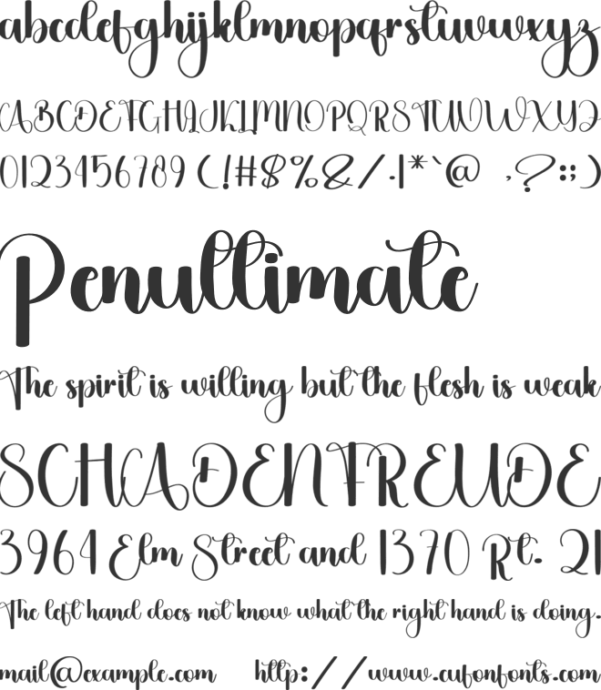 Biscuit Delious font preview