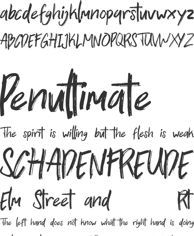 Zallord font preview