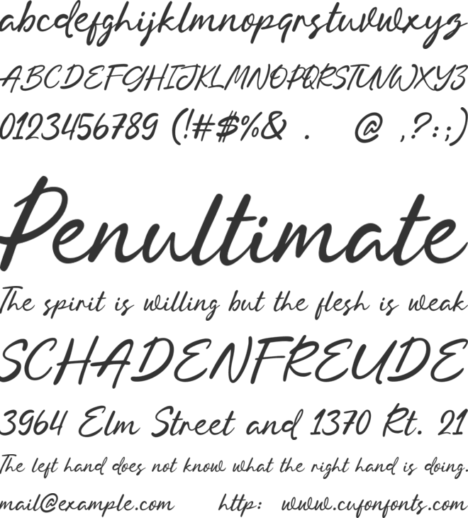 Blesh Forte font preview