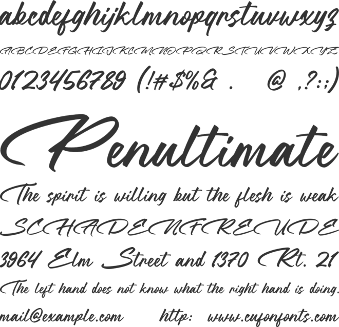 Bigtimes font preview