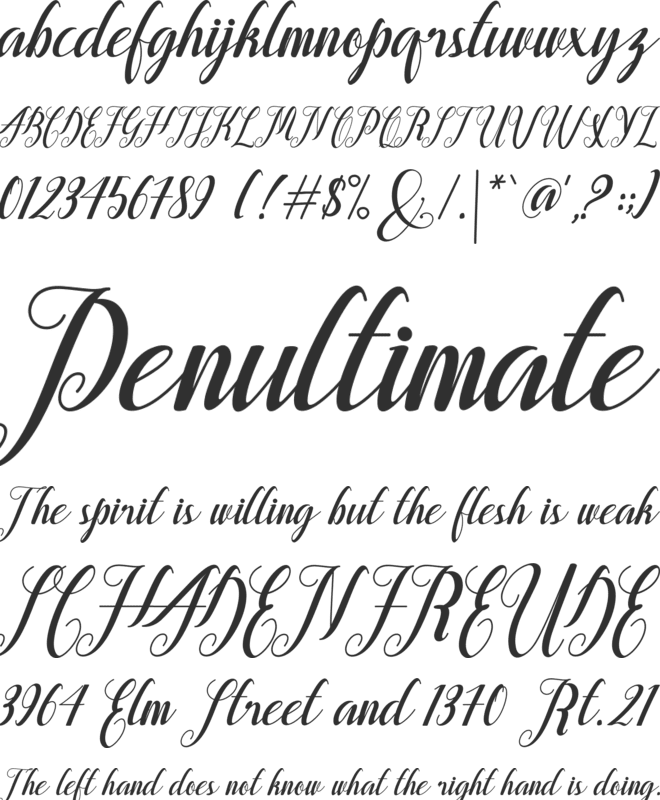 Alongtime font preview