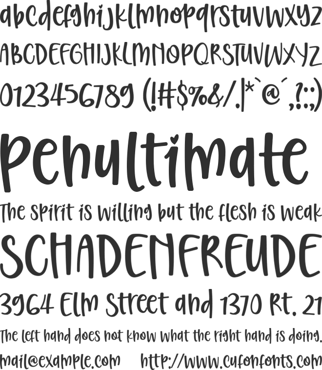 Christed font preview