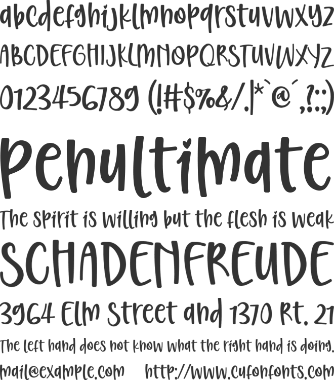 Christed font preview