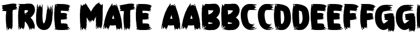True Mate font download