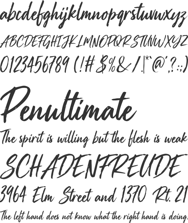 La Fabrique de Chocolats font preview