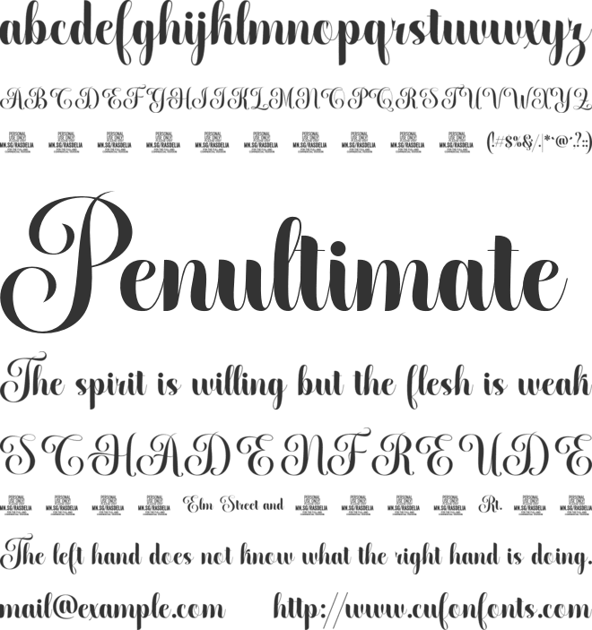 Rasdelia Calligraphy PERSONAL font preview
