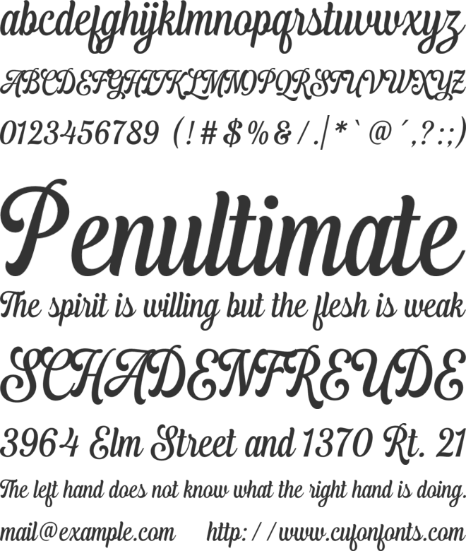 Youth Shandey font preview