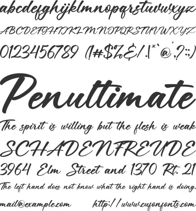 Kactigona font preview